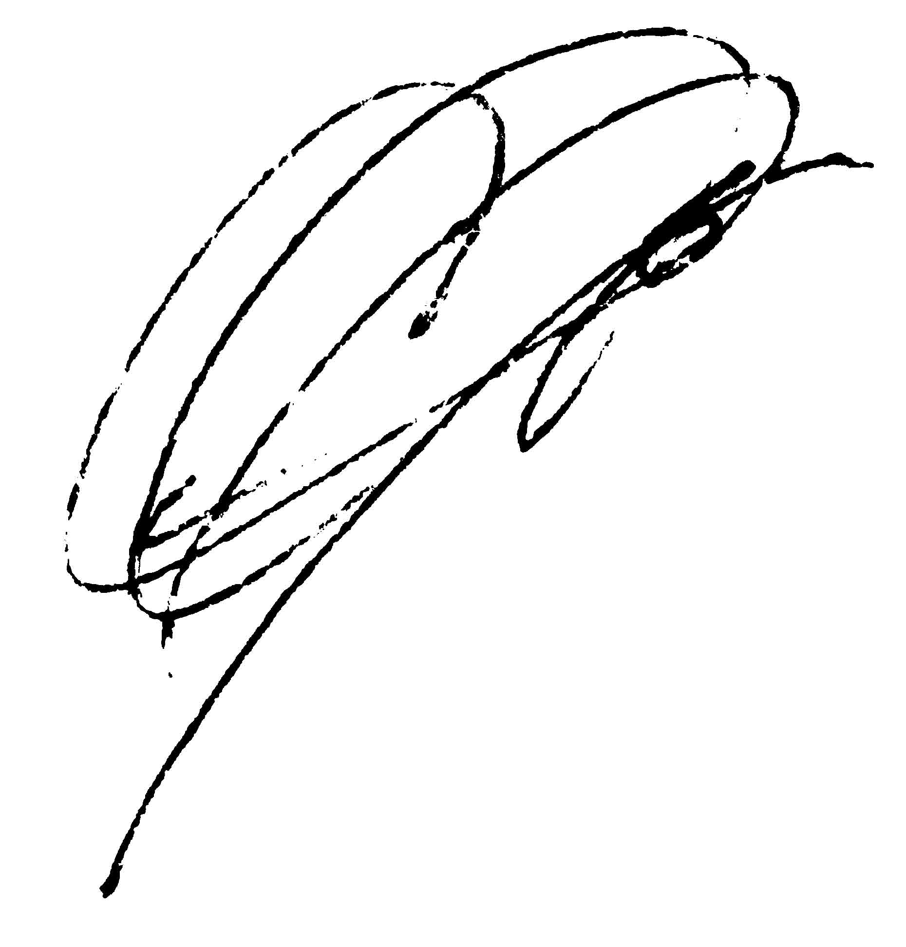 podpis_dlya-pisem